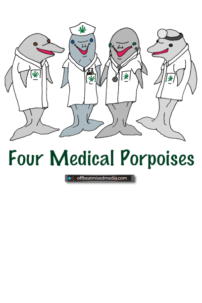 4medicalporpoises